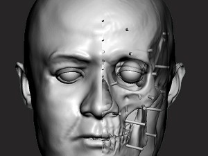 Forensic_Art-Digital_facial_reconstruction_by_Hayley_Fisher