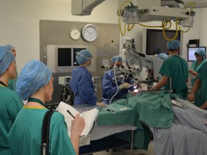 Medical artists observing surgery